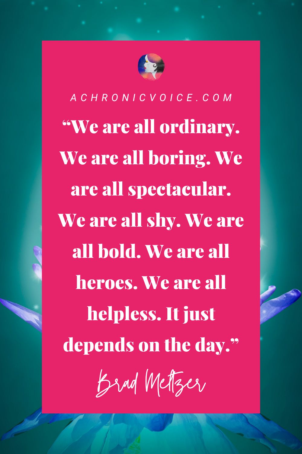 “We are all ordinary. We are all boring. We are all spectacular. We are all shy. We are all bold. We are all heroes. We are all helpless. It just depends on the day.” - Brad Meltzer