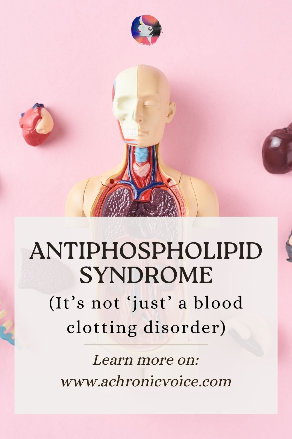 How Does Antiphospholipid Syndrome Affect The Body? (Beyond the Blood to Major Organs)