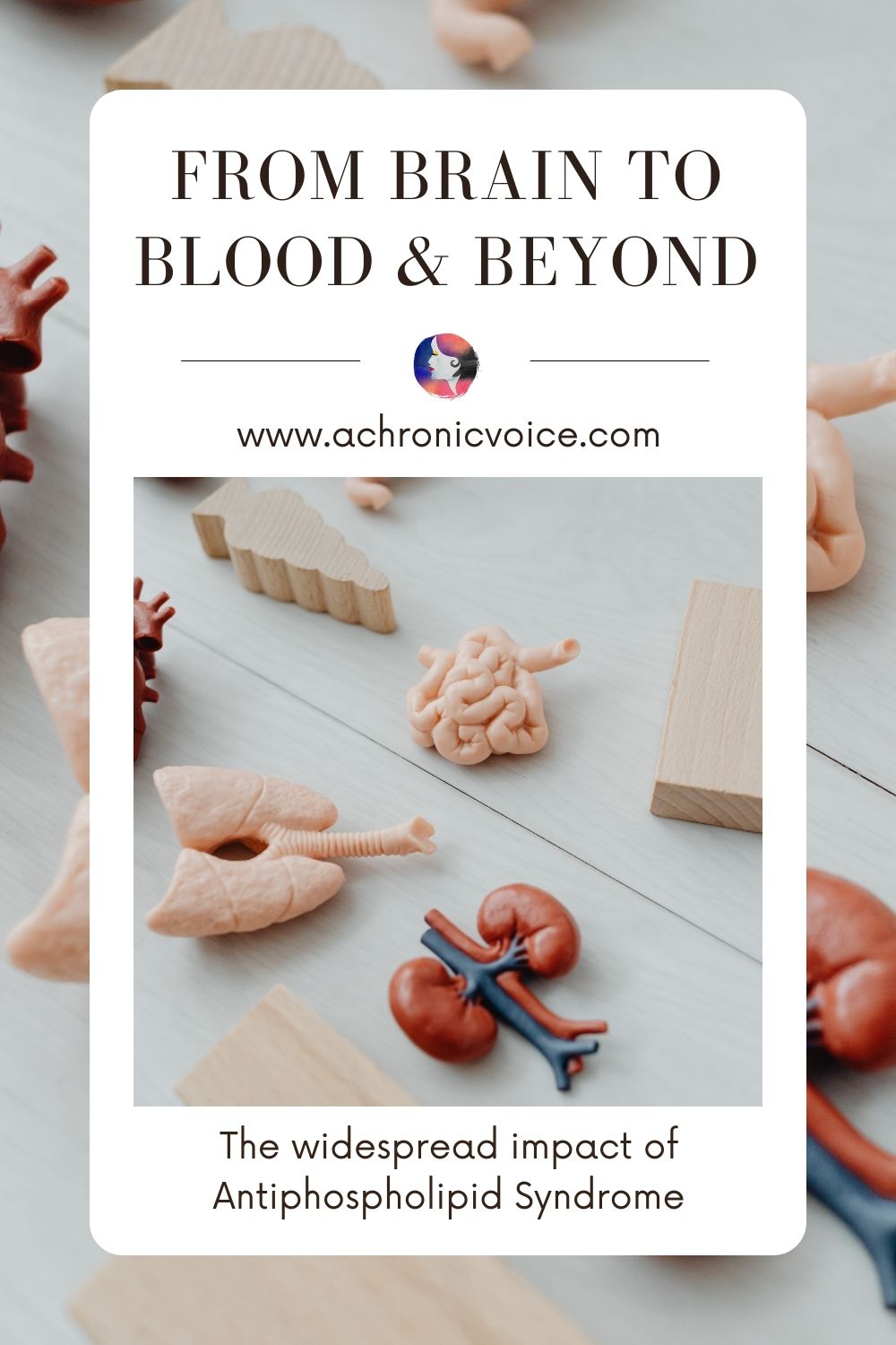 How Does Antiphospholipid Syndrome Affect The Body? (Beyond the Blood to Major Organs)