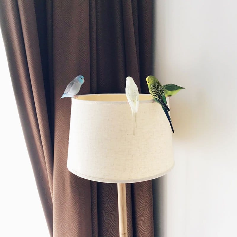 The flock discussing their next revolt on a lamp shade