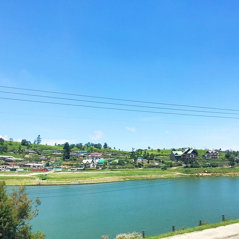 Lunch by Gregory Lake, Ella.