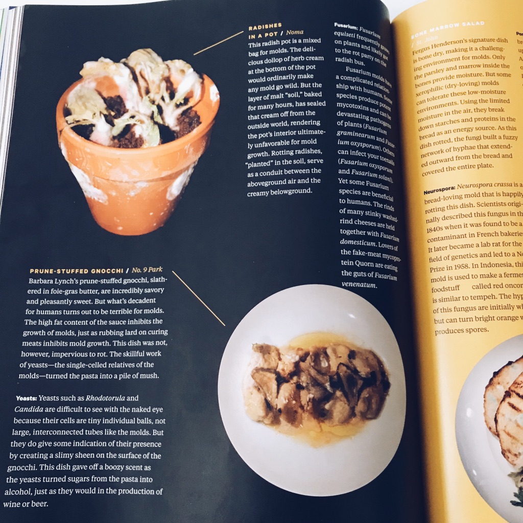 Radishes in a pot from Noma and Prune-stuffed gnocchi from No. 9 Park covered with mould and yeast.