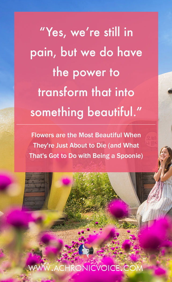 Yes, we’re still in pain, but we do have the power to transform that into something beautiful. (Flowers are the Most Beautiful When They're Just About to Die (and What hat's Got to Do with Being a Spoonie))