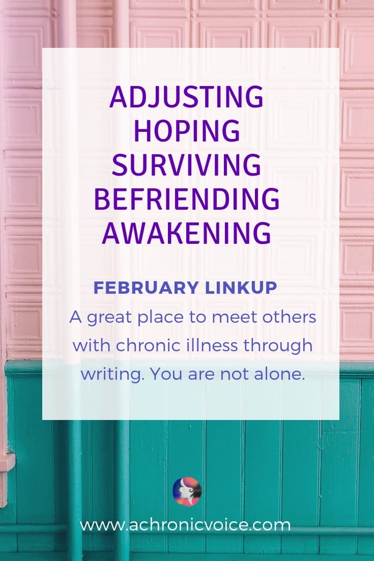 February 2019 Prompts: Adjusting, Hoping, Surviving, Befriending & Awakening