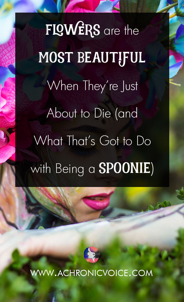 Flowers are the Most Beautiful When They’re Just About to Die (and What That’s Got to Do with Being a Spoonie)