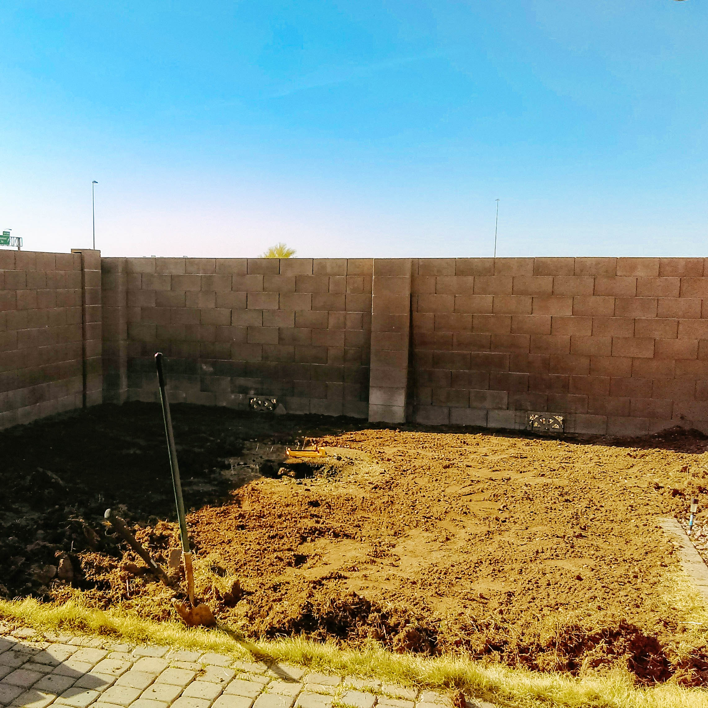 Shannon’s yard: before.