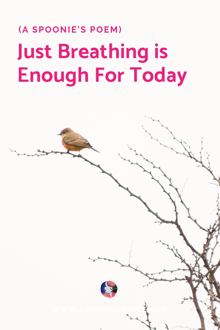 (A Spoonie’s Poem) Just Breathing Is Enough For Today