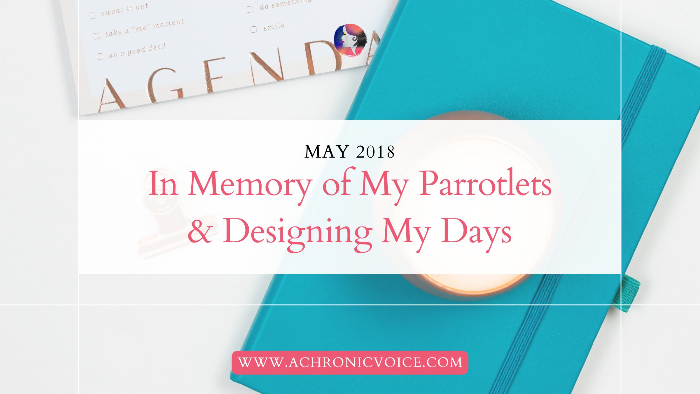 May 2018: In Memory of My Parrotlets and Designing My Days